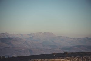 Mountains