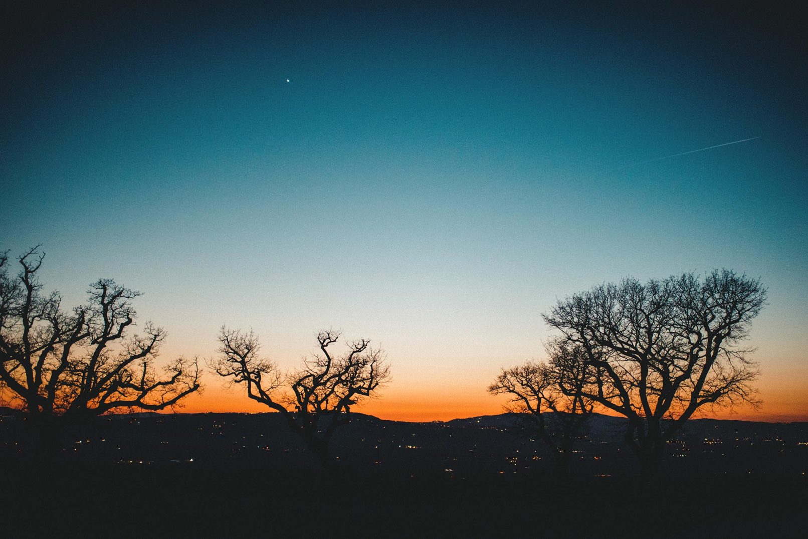 sunset trees