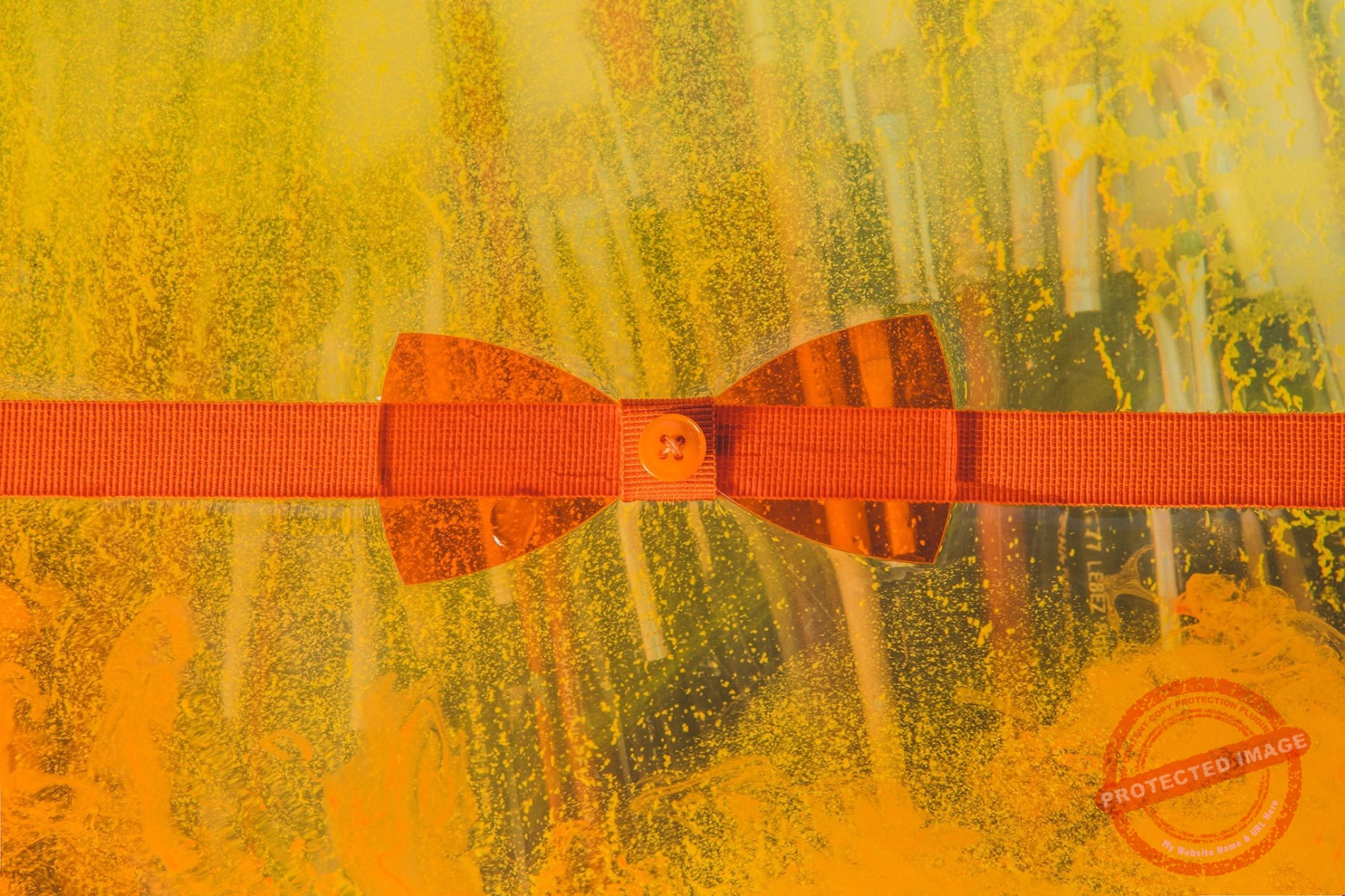 Still Life Papillon